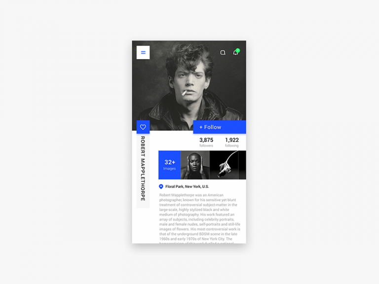 User Profile UI Kit Free XD Resource Adobe XD Elements